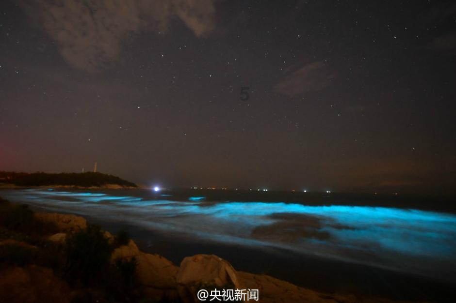 探索选择到烹饪学校,学厨师的最佳年龄是多少?,发现更多有趣内容