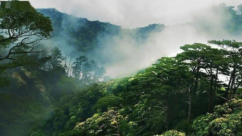 放眼整个三国时代,孙权的东吴政权,真的是活的尴尬吗?