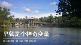 新奥特曼大决战