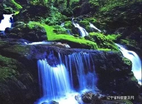 火影中容易被忽视的6人:一个和纲手是队友,一个打扮模仿卡卡西