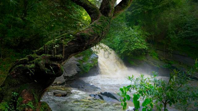 “冰雪艺术节”主题旅游专列开往铜川赏冰雕