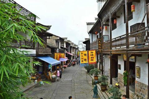 逃离大犀牛出没地
